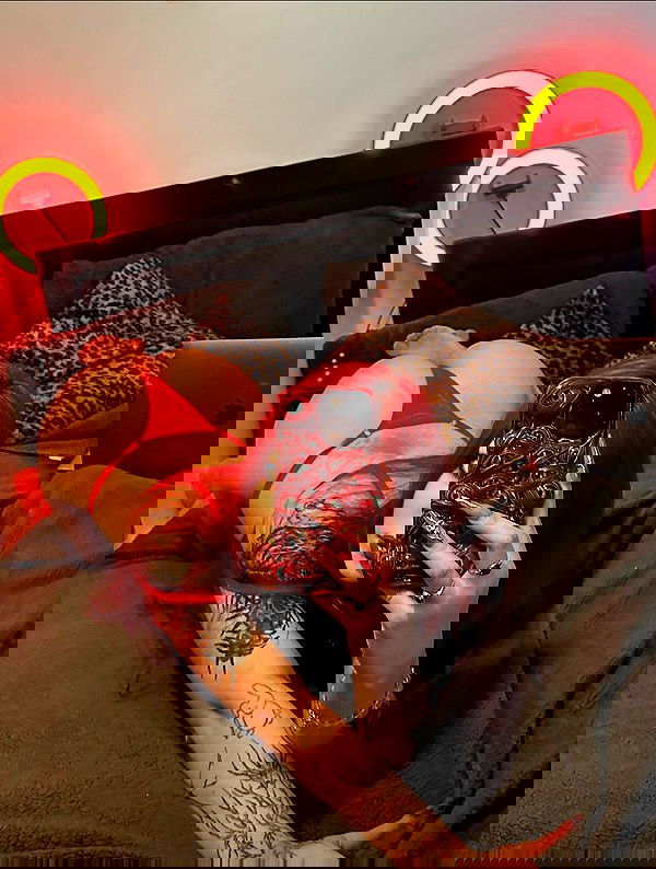 morejulss morejulss archive image