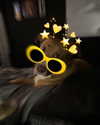 morguemuscle Altpins Profile Picture