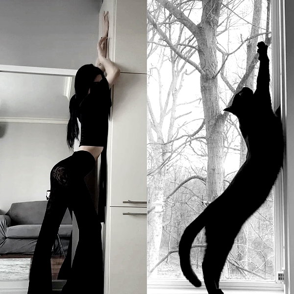 murl1kalka instagram image archive image