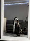 murl1kalka Altpins Profile Picture