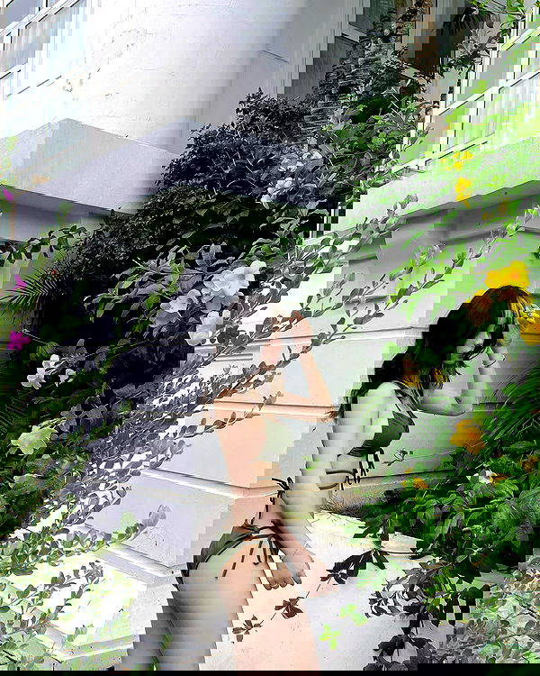 myn.hg myn.hg archive image