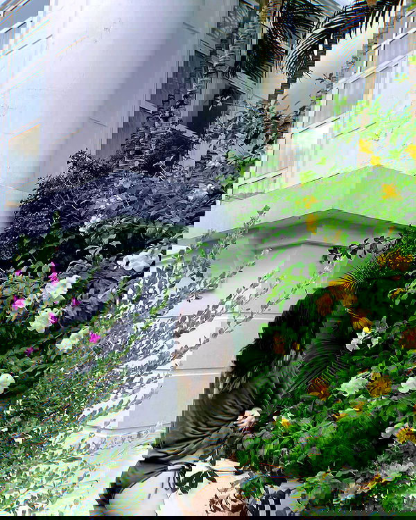 myn.hg myn.hg archive image