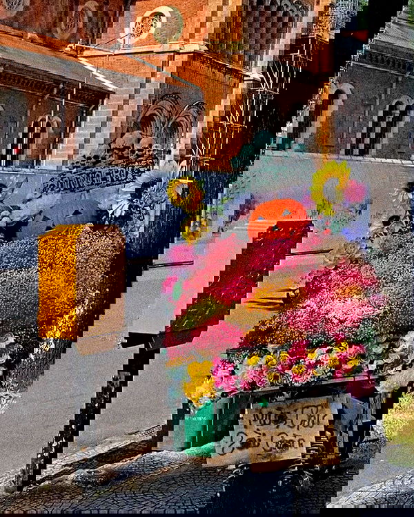 myn.hg myn.hg archive image