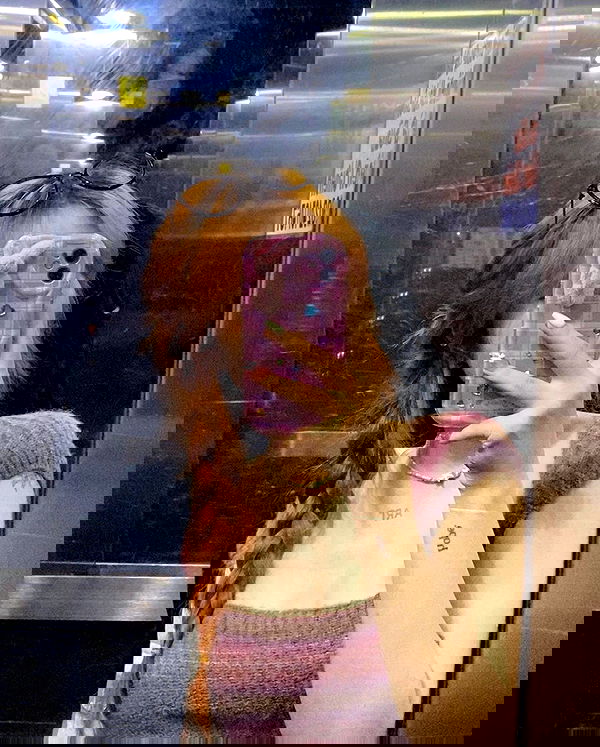 myn.hg myn.hg archive image