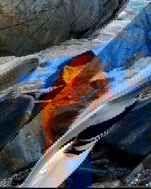 myn.hg myn.hg archive image