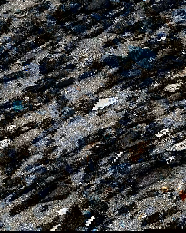 myn.hg myn.hg archive image