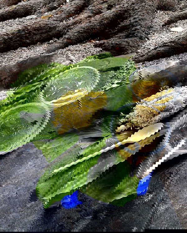 myn.hg myn.hg archive image