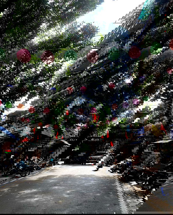 myn.hg myn.hg archive image