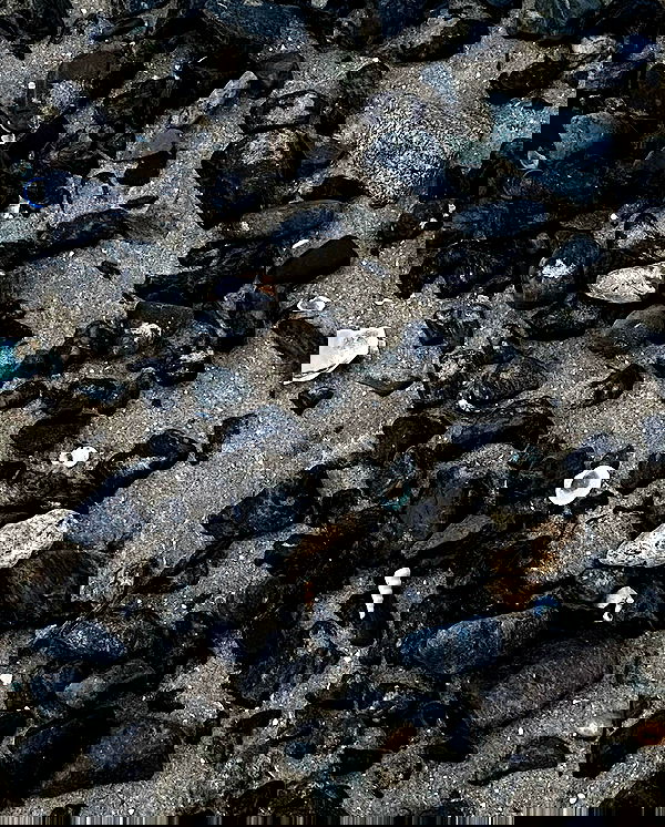 myn.hg myn.hg archive image