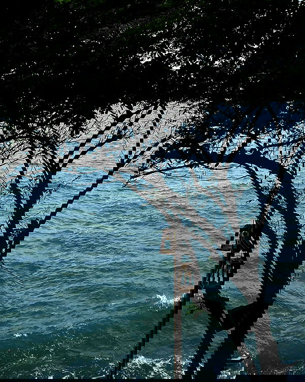 myn.hg myn.hg archive image