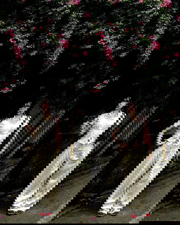 myn.hg myn.hg archive image