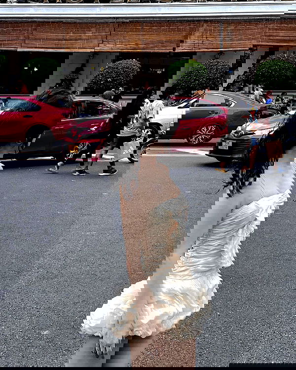 myn.hg myn.hg archive image