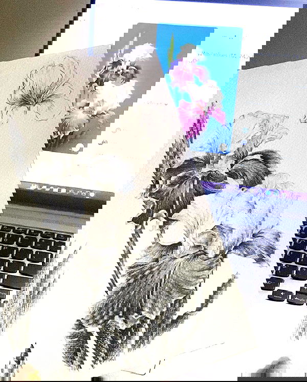 myn.hg myn.hg archive image