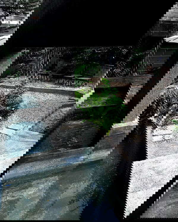 myn.hg myn.hg archive image