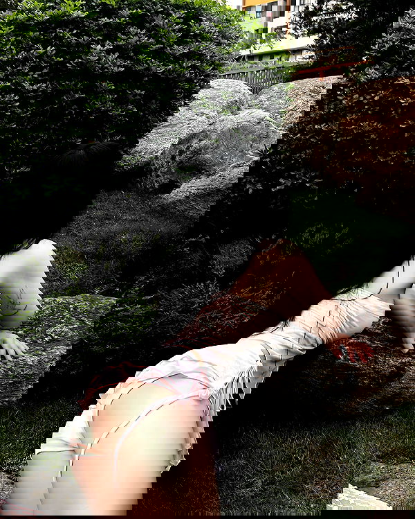 myn.hg myn.hg archive image