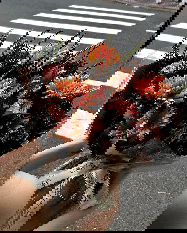 myn.hg myn.hg archive image