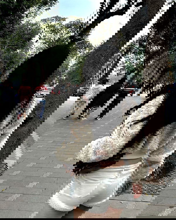 myn.hg myn.hg archive image