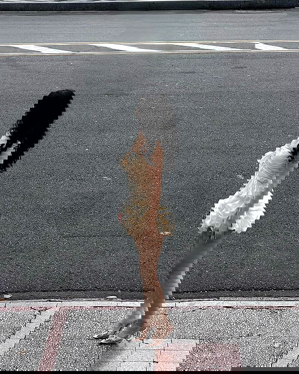 myn.hg myn.hg archive image