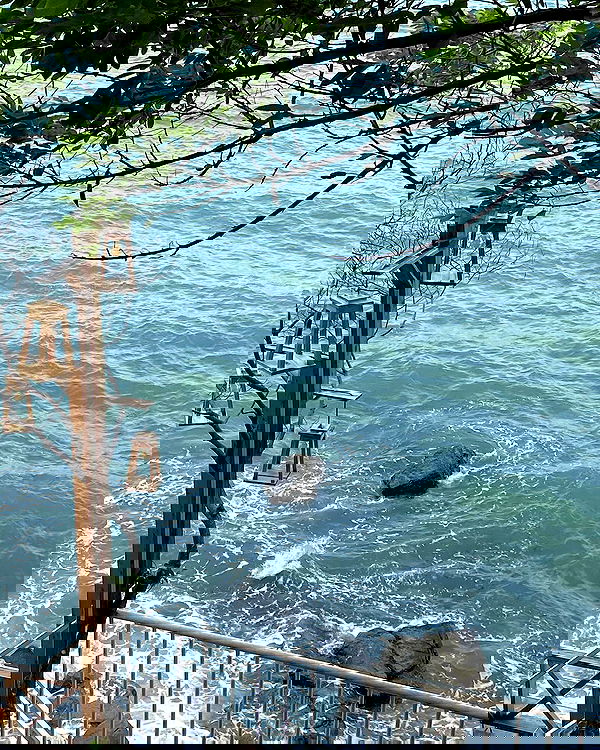 myn.hg myn.hg archive image