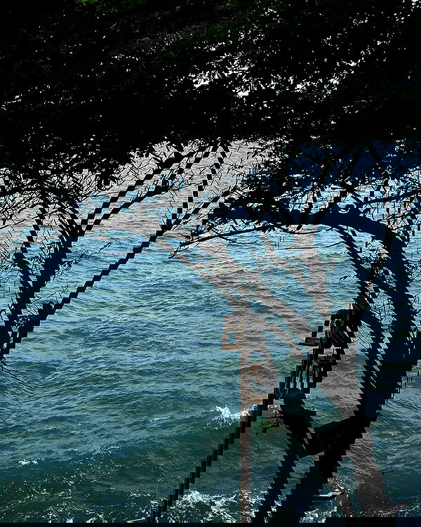 myn.hg myn.hg archive image