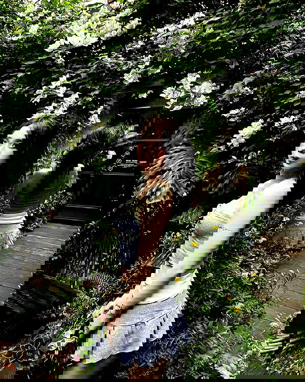 myn.hg myn.hg archive image