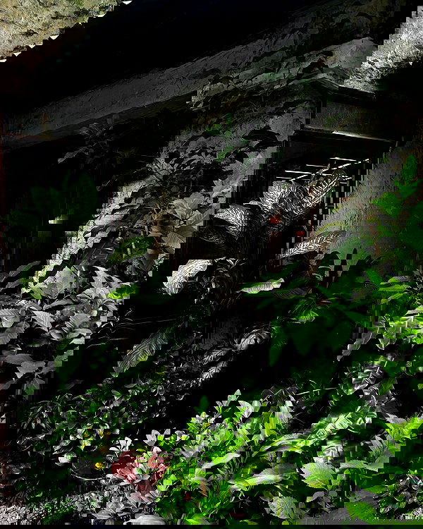 myn.hg myn.hg archive image