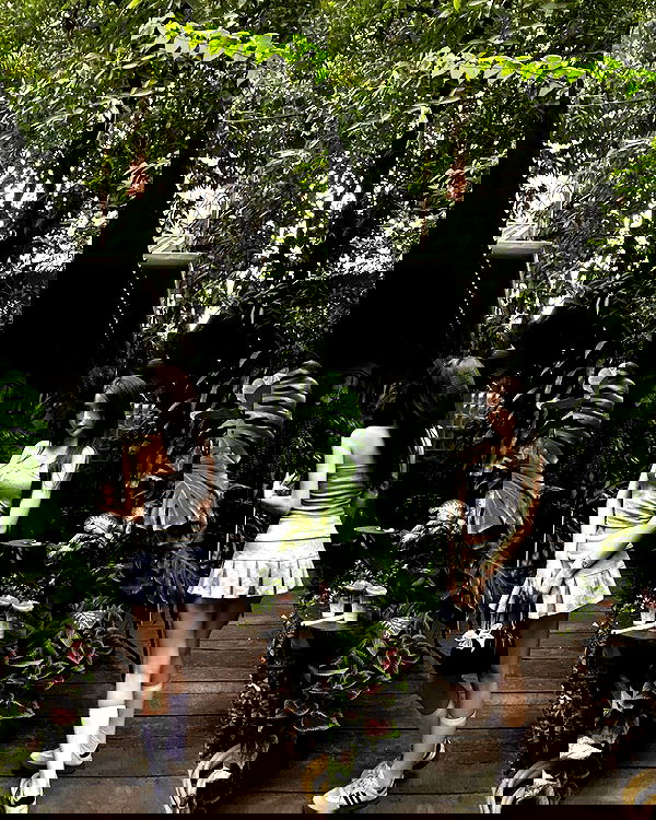 myn.hg myn.hg archive image