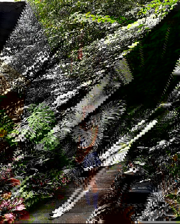 myn.hg myn.hg archive image