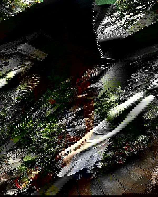 myn.hg myn.hg archive image