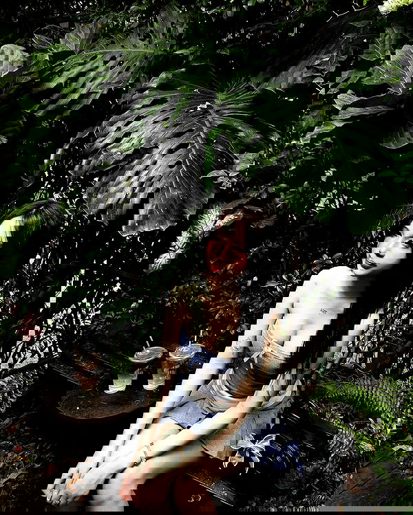 myn.hg myn.hg archive image