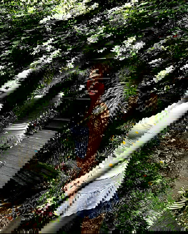 myn.hg myn.hg archive image