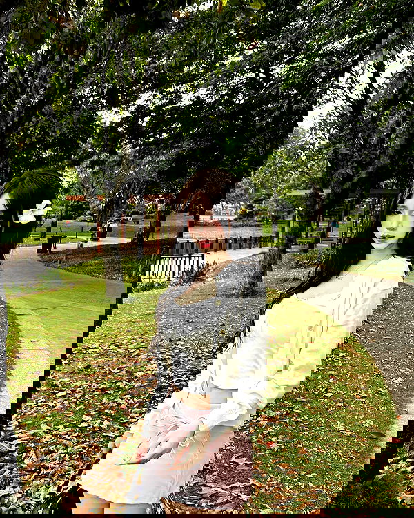 myn.hg myn.hg archive image