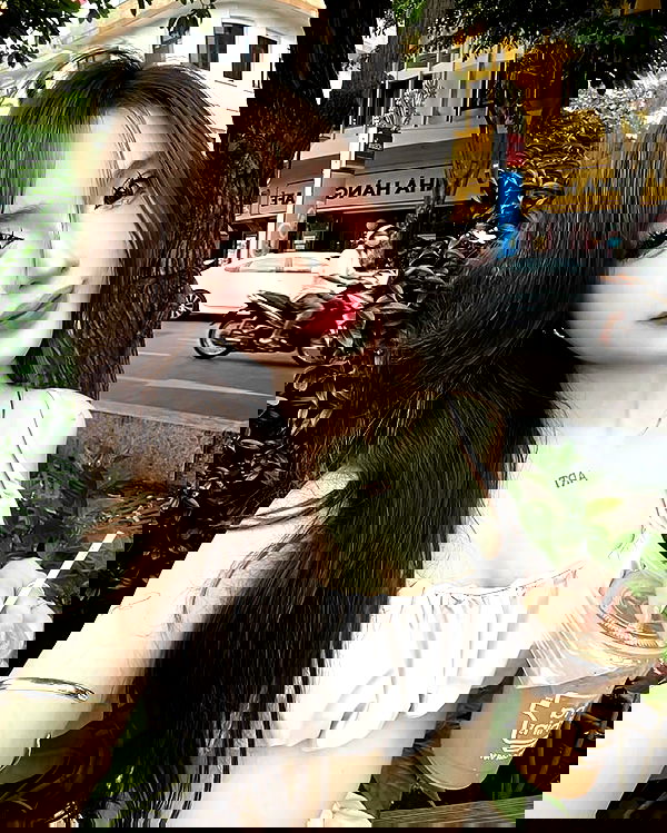 myn.hg myn.hg archive image