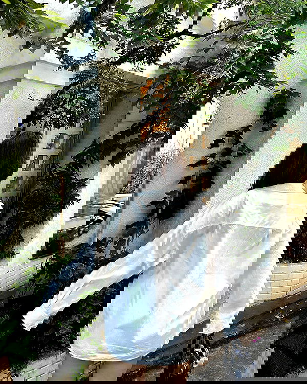 myn.hg myn.hg archive image