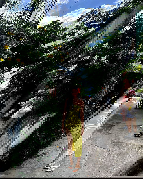 myn.hg myn.hg archive image