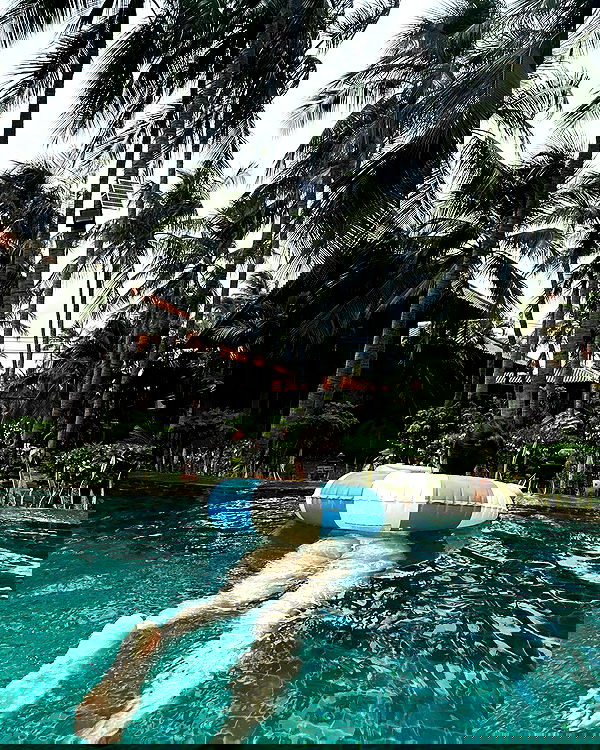 myn.hg myn.hg archive image