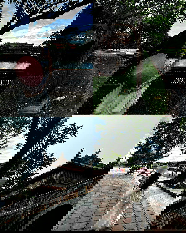 myn.hg myn.hg archive image