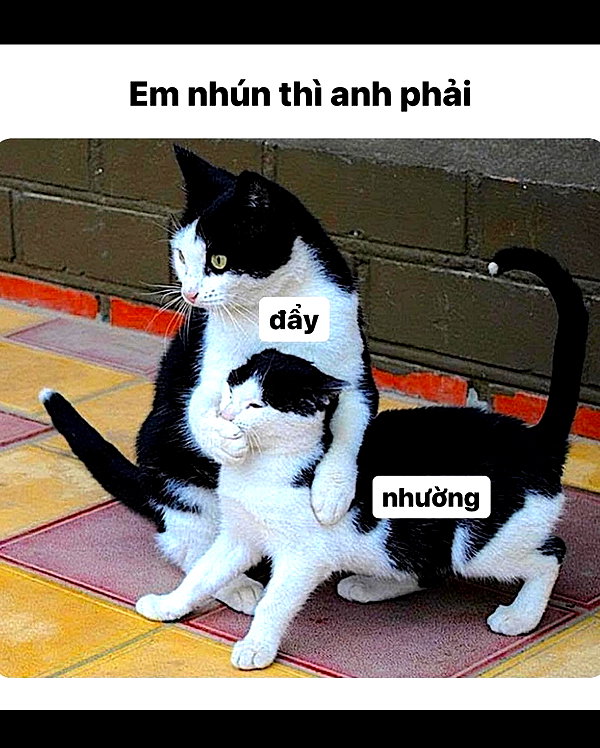 mziennnnn instagram image archive image