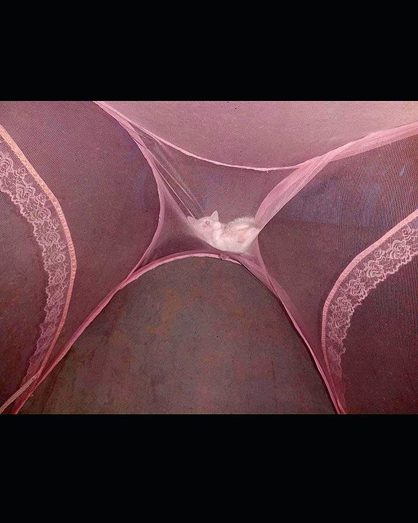 mziennnnn instagram image archive image