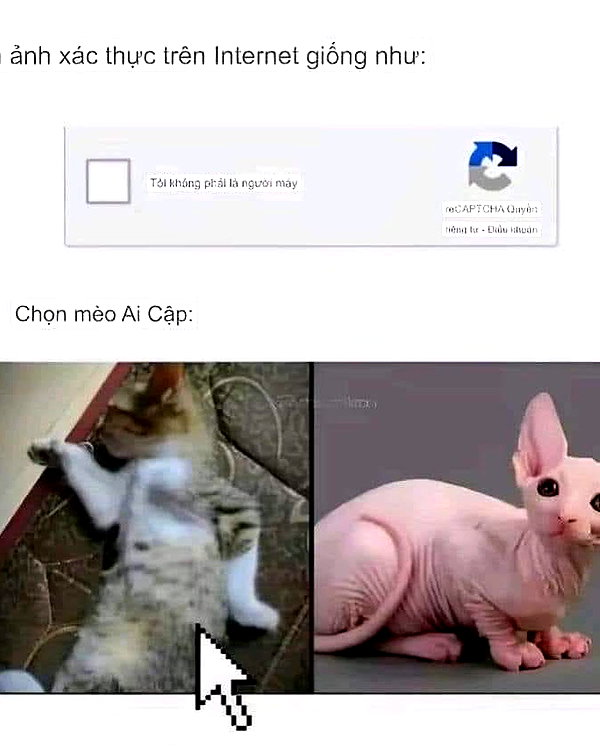 mziennnnn instagram image archive image