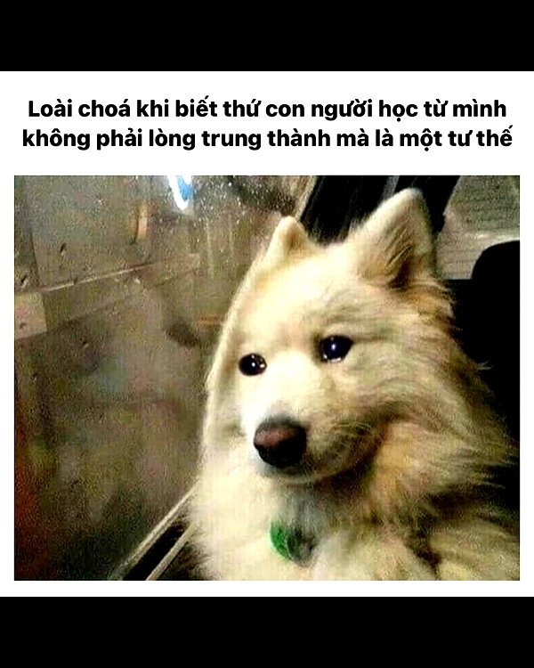 mziennnnn instagram image archive image