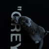 mziennnnn Altpins Profile Picture
