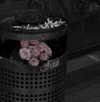mziennnnn Altpins Profile Picture
