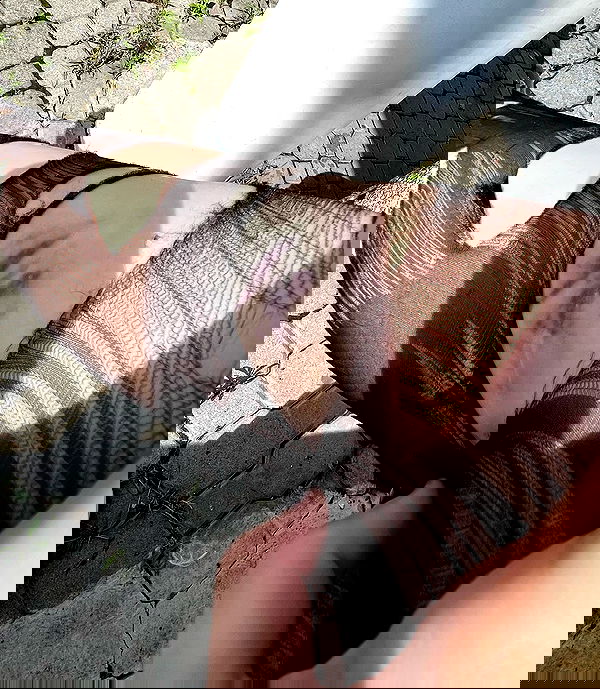 najavamp najavamp archive image