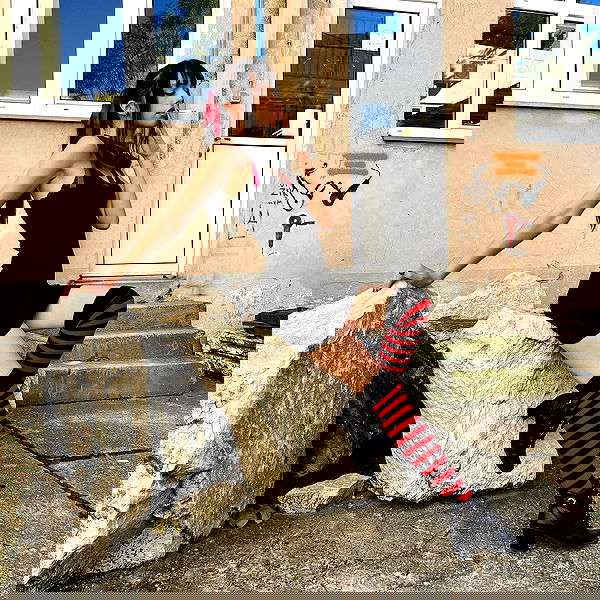 najavamp najavamp archive image