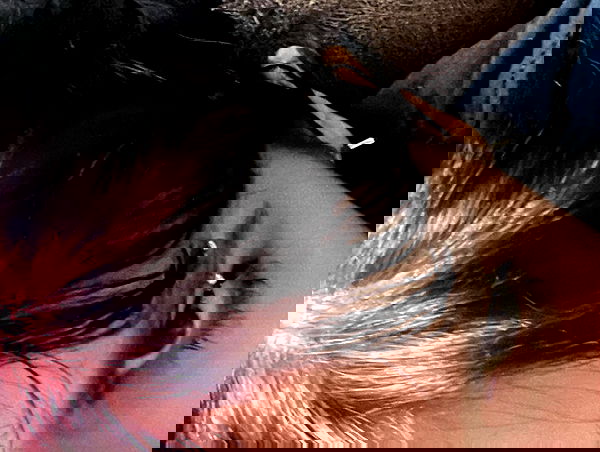 najavamp najavamp archive image