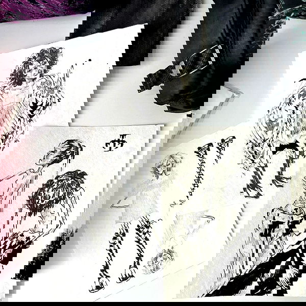 najavamp najavamp archive image