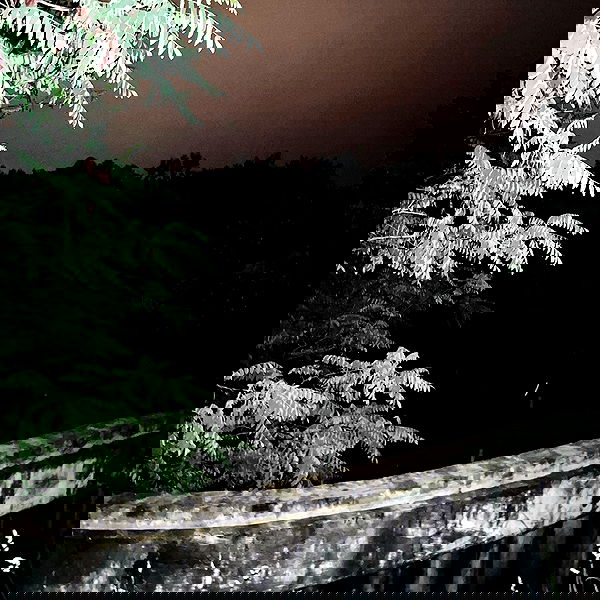 najavamp najavamp archive image