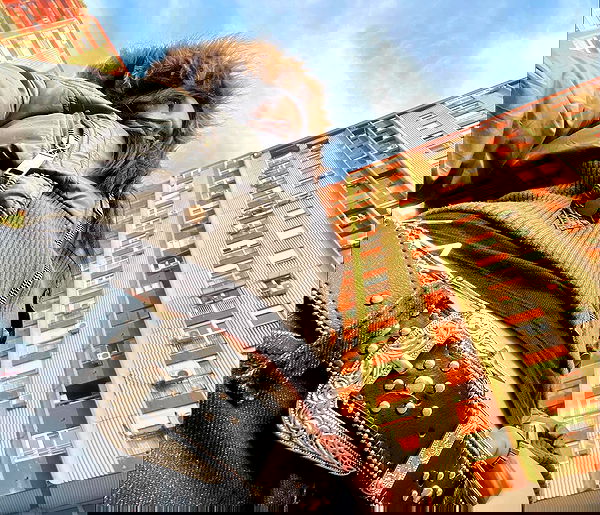 najavamp najavamp archive image