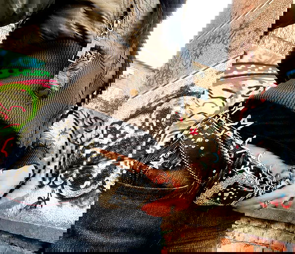 najavamp najavamp archive image